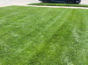 Ricky P.'s Lawn Mowing service result
