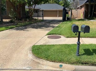 Francisco P.'s Lawn Mowing service result