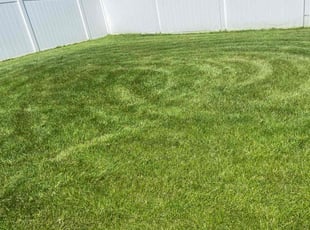 Serene W.'s Lawn Service service result