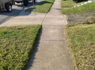 Arthera S.'s Lawn Service service result