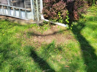 Cleanups by Dywane Clarke for Loren H. in Columbus, OH