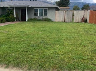 Dustin C.'s Yard Cutting service result