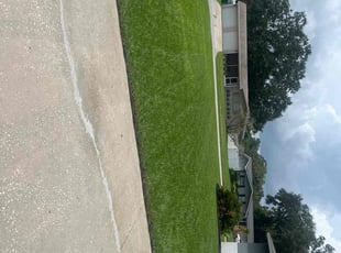 Dalton C.'s Grass Cutting service result