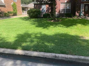 David G.'s Lawn Mowing Service service result