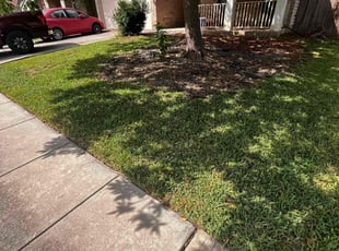 James P.'s Lawn Mowing Service service result