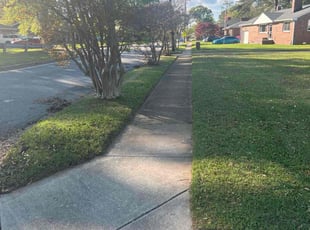 Janelle H.'s Lawn Mowing Service service result