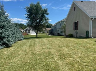 John E.'s Yard Cutting service result