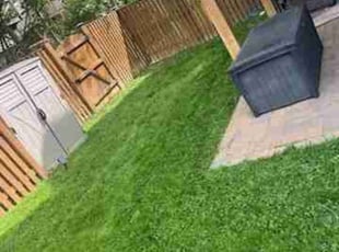 Eric K.'s Lawn Service service result
