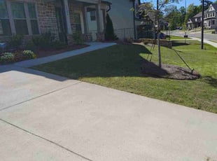 Darrell M.'s Lawn Mowing service result