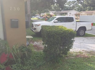 Bush Trimming by Gary Peterson for Abdul S. in St. Petersburg, FL