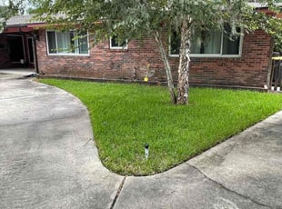 karen m.'s Lawn Care service result