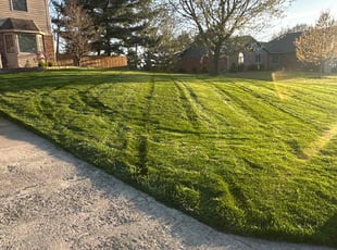 Christine R.'s Lawn Service service result
