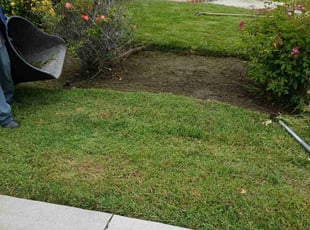 Weeding by Rodrigo Rodriguez for Janet K. in Laguna Hills, CA