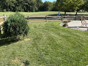 Eric J.'s Yard Cutting service result