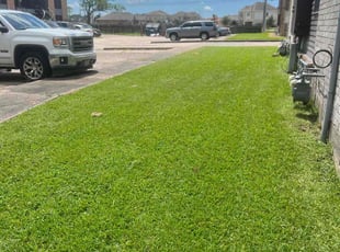 Randall B.'s Lawn Mowing service result