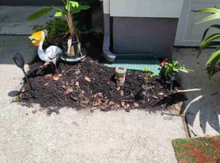 Mulching by Carlos Martinez for Julie R. in Clermont, FL