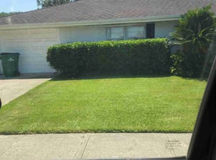 Bush Trimming by George Lombas for Laura N. in Metairie, LA