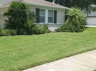 Scott D.'s Lawn Mowing Service service result
