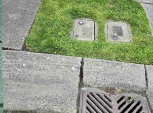 Chang W.'s Lawn Care service result