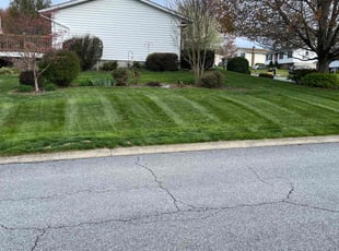 Chris T.'s Lawn Care service result