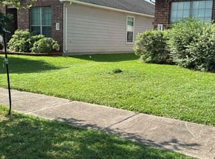 Jonathan B.'s Lawn Care service result