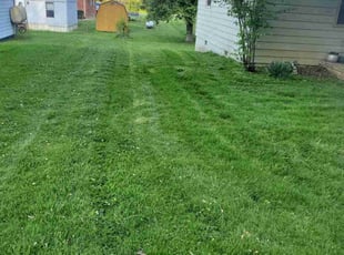 Lisa Q.'s Lawn Service service result