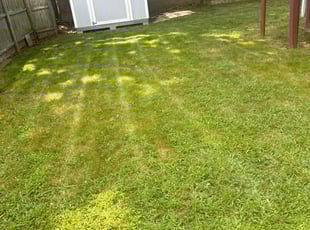 Juan Antonio G.'s Lawn Service service result