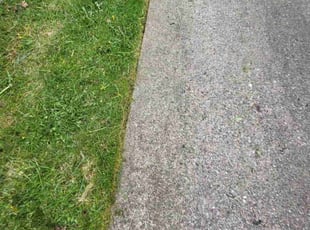 Reagan M.'s Lawn Service service result