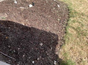 Cleanups by Alexander Flores for Sasikant V. in McKinney, TX