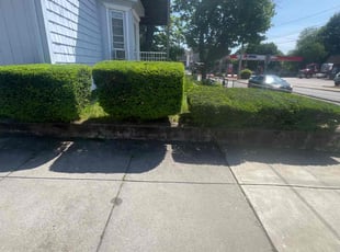 Bush Trimming by Robert Borrelli for Sandy M. in Woonsocket, RI