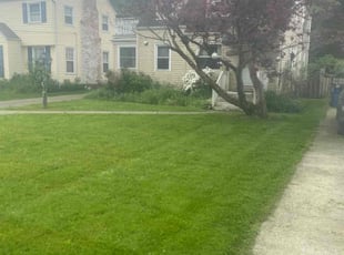Michael H.'s Lawn Mowing service result