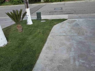 Rolla P.'s Lawn Mowing service result