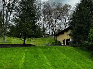 George R.'s Lawn Care service result
