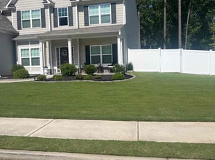 Dave S.'s Lawn Service service result