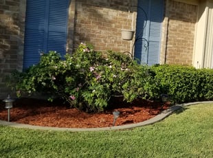 Mulching by Jose Luis Trejo for Debbie R. in Plano, TX