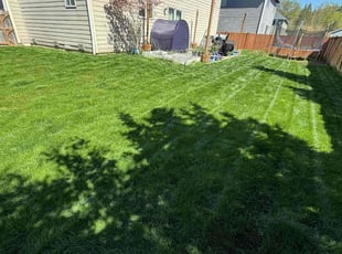Tonya E.'s Yard Cutting service result