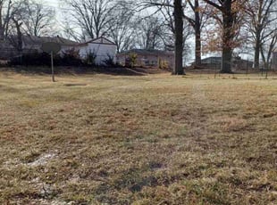 Leaf Removal by Charles Ridge for Kayla R. in Kansas City, KS