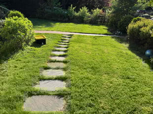 Michael V.'s Lawn Maintenance service result