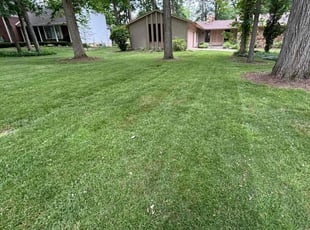 Yeisol W.'s Lawn Mowing service result