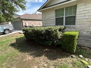 Bush Trimming by Bobby Green for Tiffany H. in Kyle, TX