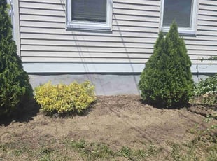 Weeding by Jovani Da silva for Darry H. in Taunton, MA