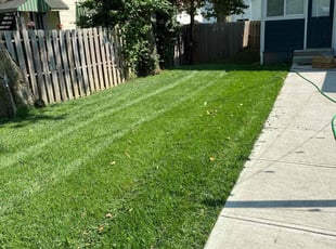 Jeff G.'s Lawn Mowing service result