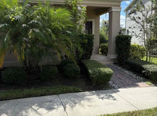 David K.'s Yard Cutting service result