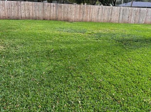 Jentry J.'s Lawn Service service result
