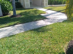 Andrea D.'s Lawn Service service result