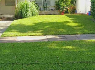 michael m.'s Lawn Mowing service result