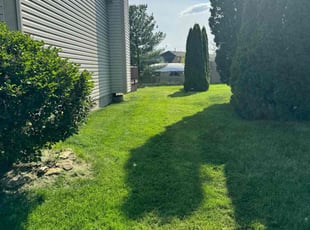 Diane F.'s Yard Cutting service result
