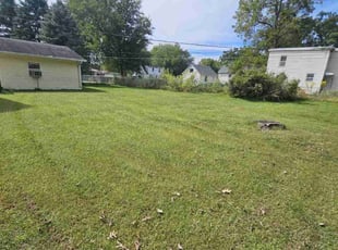 Matthew V.'s Yard Cutting service result