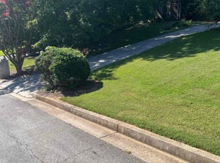 Michael C.'s Lawn Service service result