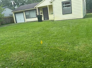 Joseph R.'s Lawn Mowing service result